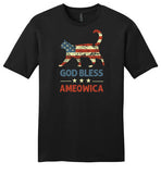 God Bless Ameowica Unisex Shirt for Men and Women