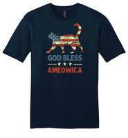 God Bless Ameowica Unisex Shirt for Men and Women