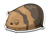 Guinea Pig Decal Pack | 5 Vinyl Decals | Cute Cavy Animal Sticker Set for Laptop, Notebook, Mug, Wall, Tumbler, Cell Phone and More