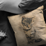 Cat Pillow | Rustic Renaissance Sketch Drawing Antique Style Throw Pillow or Zip Cover | Earth Tone Beige Brown Living Room Decor
